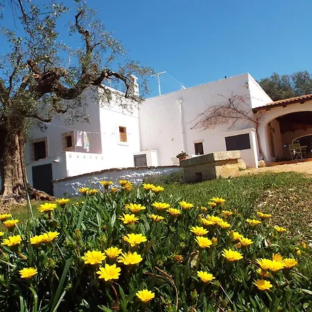 Di Galizia * Ostuni