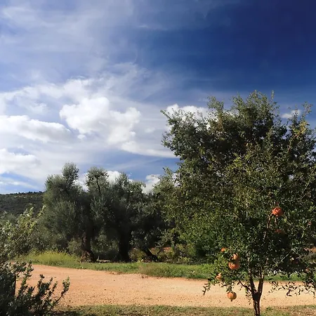 Di Galizia