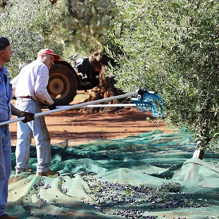 Alloggio per agriturismo Di Galizia *