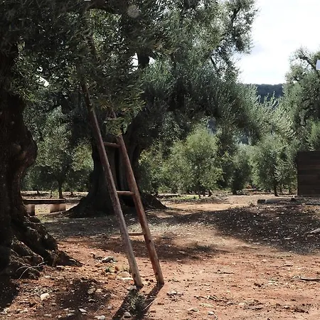 Alloggio per agriturismo Di Galizia Ostuni